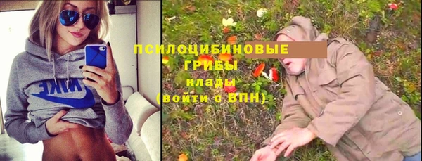 mdma Дмитриев