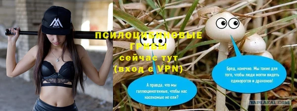 mdma Дмитриев