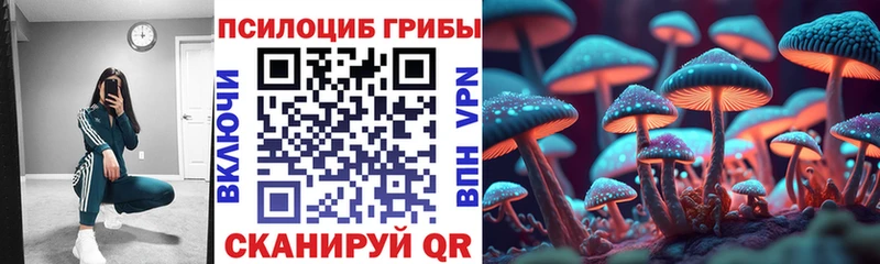Купить  Новая Ляля  Галлюциногенные грибы GOLDEN TEACHER 